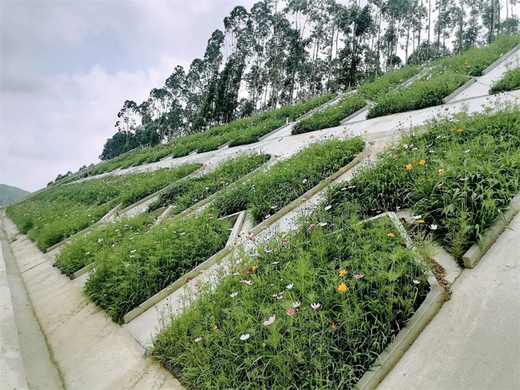 20230420131513.jpg 1.jpg